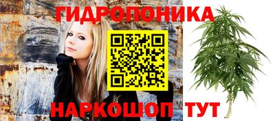 гидра Шебекино