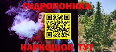гидра Шебекино