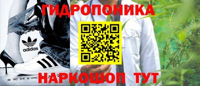 гидра Шебекино