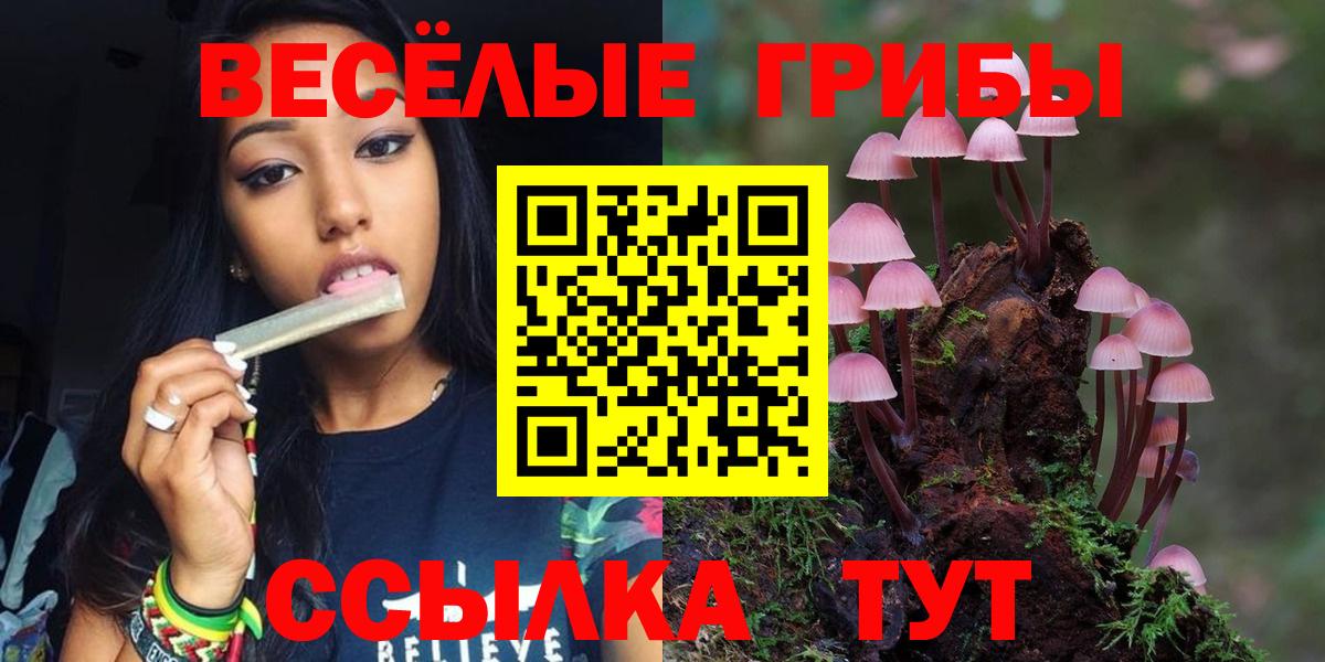 Галлюциногенные грибы мухоморы  Вход с VPN  Кондопога 