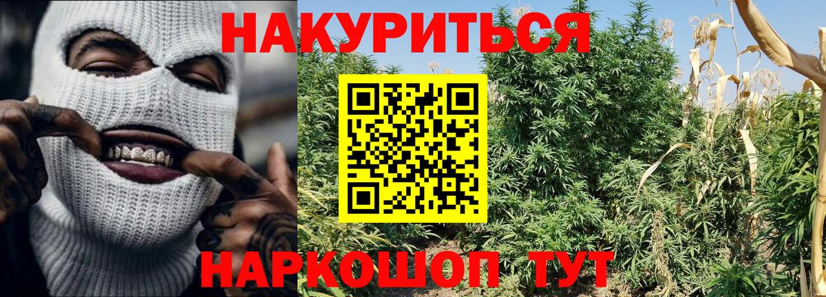 Кондопога  Бошки марихуана SATIVA & INDICA  Канабис OG Kush  Каннабис THC 21%  Вход с VPN 